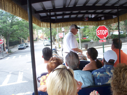 Charleston Adventures-美特尔海滩必去景点