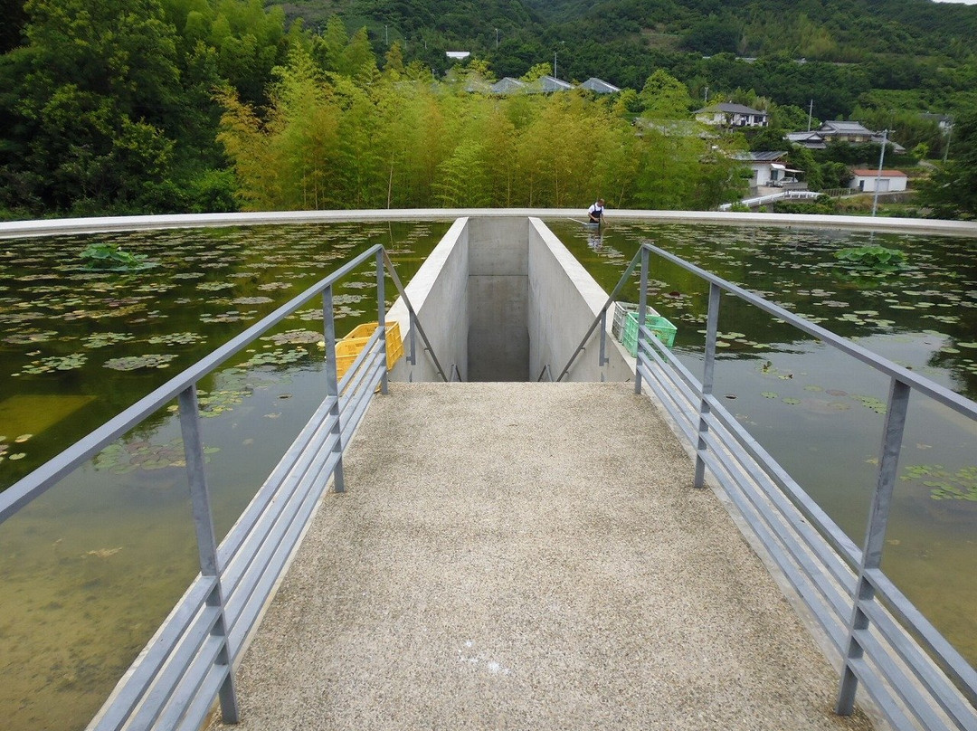 Honpukuji Temple-淡路市必去景点