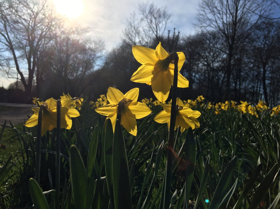 Fredenbaumpark-多特蒙德必去景点