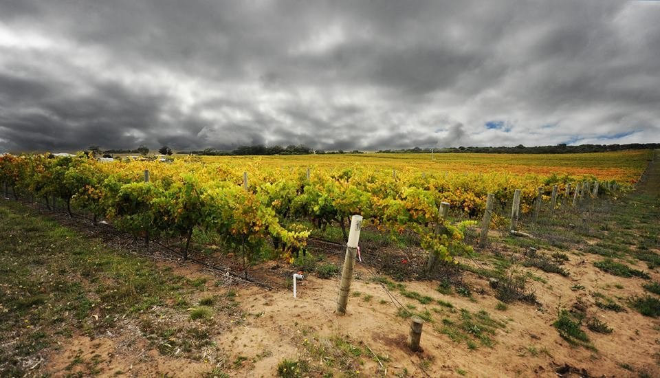 Karatta Wine Room & Gallery-罗布必去景点