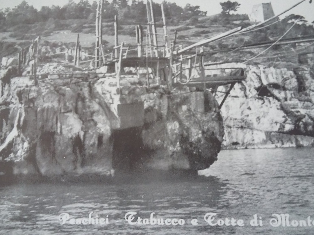 Torre di Monte Pucci-佩斯基奇必去景点