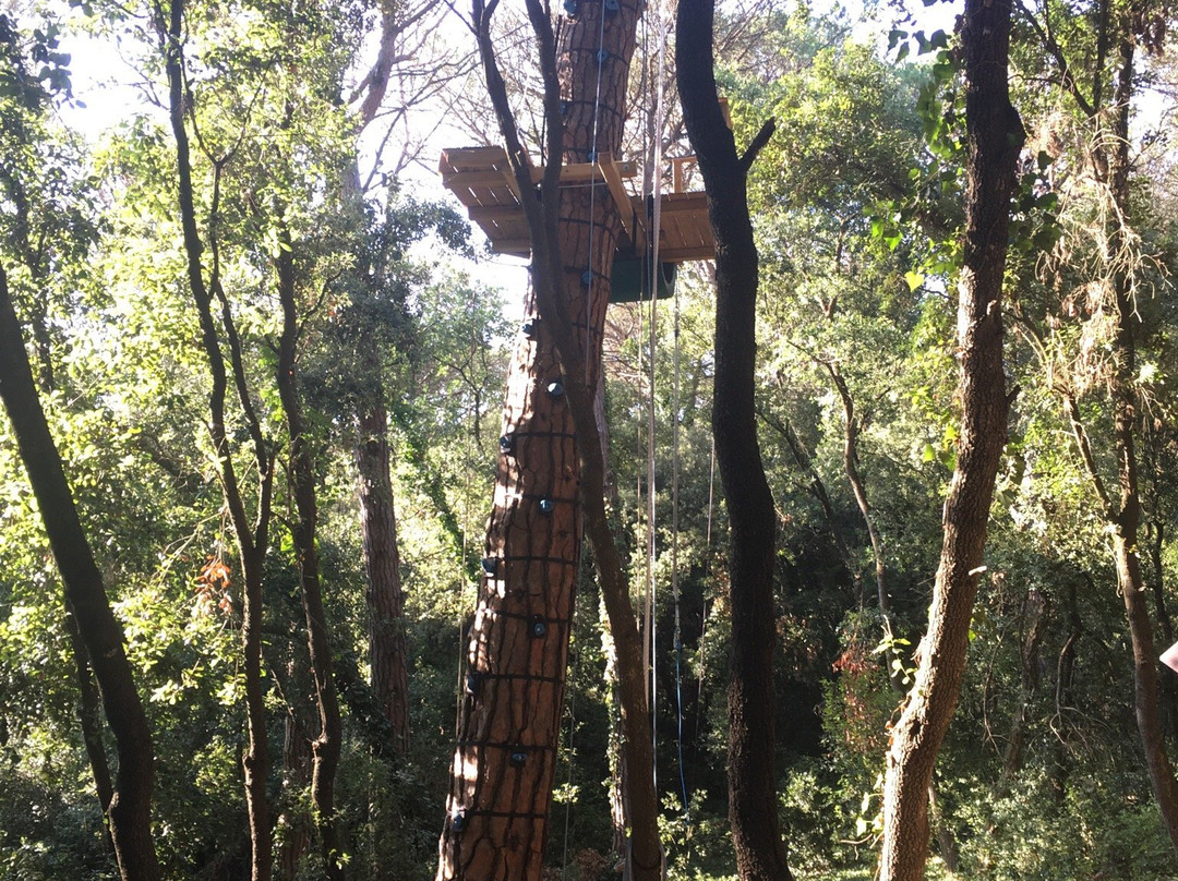 El Bosc Vertical景点图片