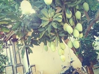 Rainbow Spa Kuta-Kuta必去景点