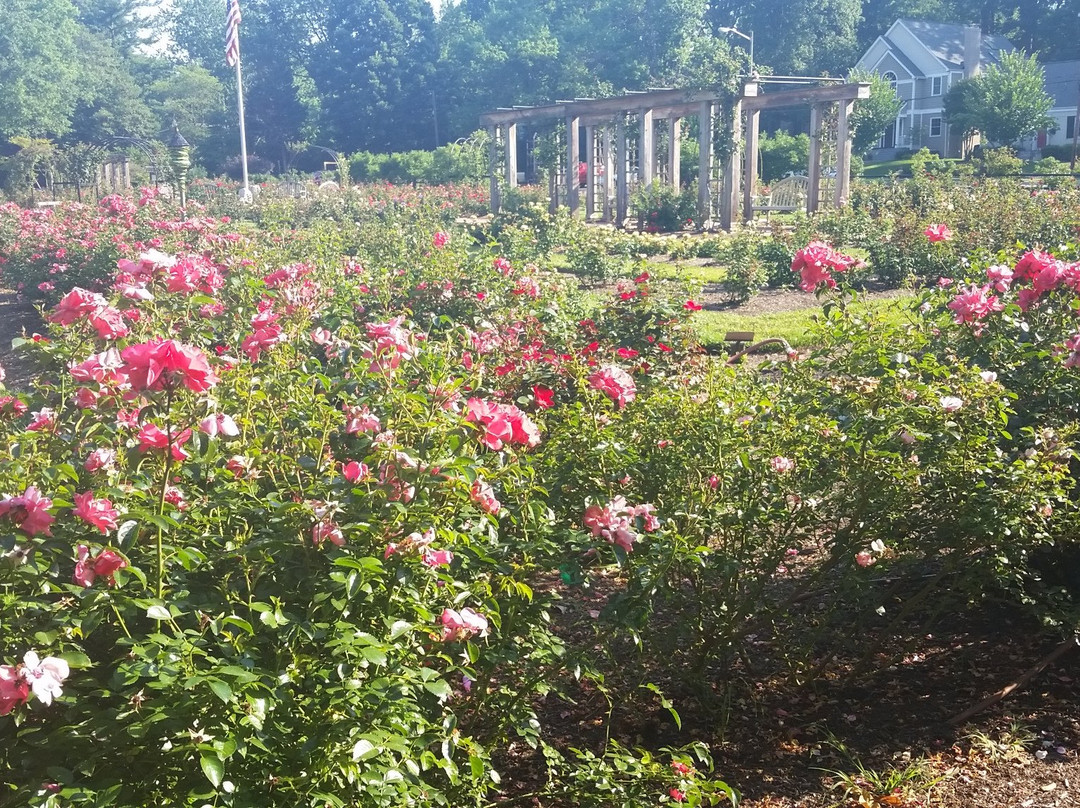 Bon Air Park-阿灵顿必去景点