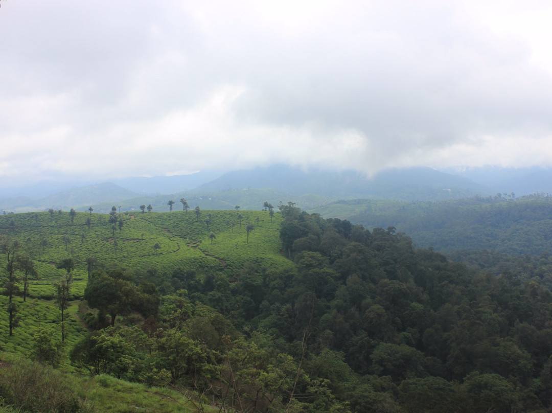 Nallamudi Viewpoint-Valparai必去景点