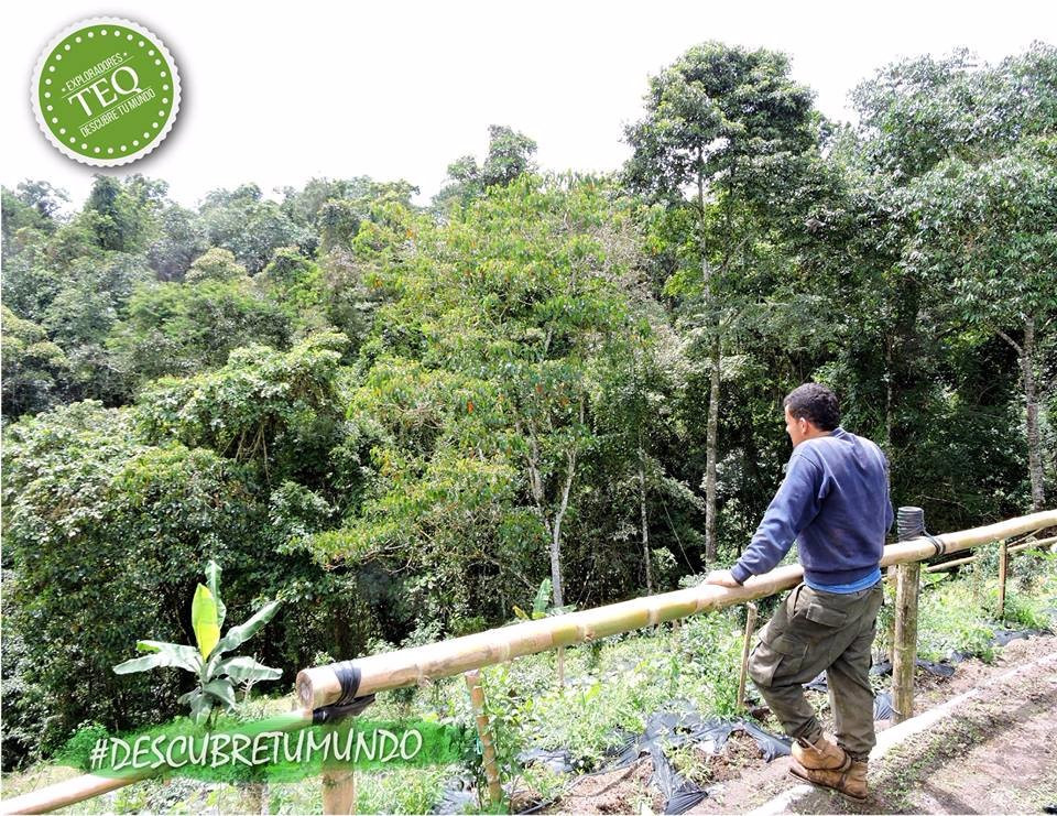 Turismo Estrategico Quindio-Montenegro必去景点