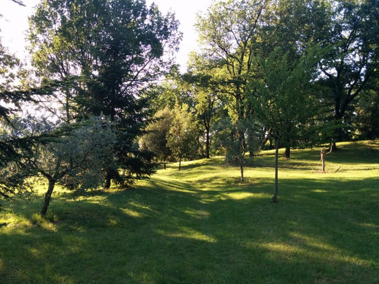 B&B La Colonna主图