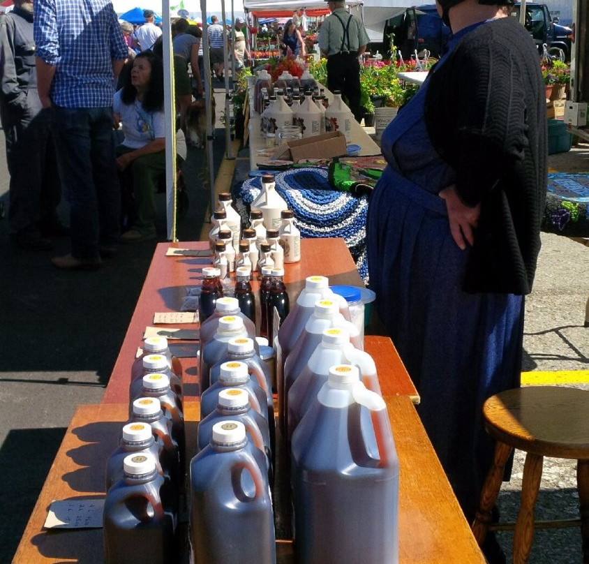 Bucket List Travel Adventures-Elmira必去景点