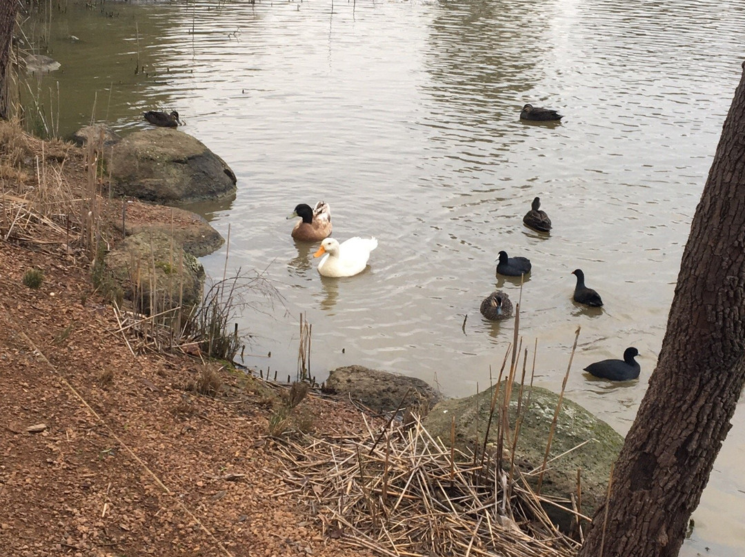 Surrey Park-博士山必去景点