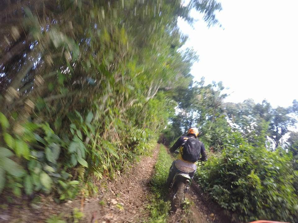 Adventure House Bali景点图片