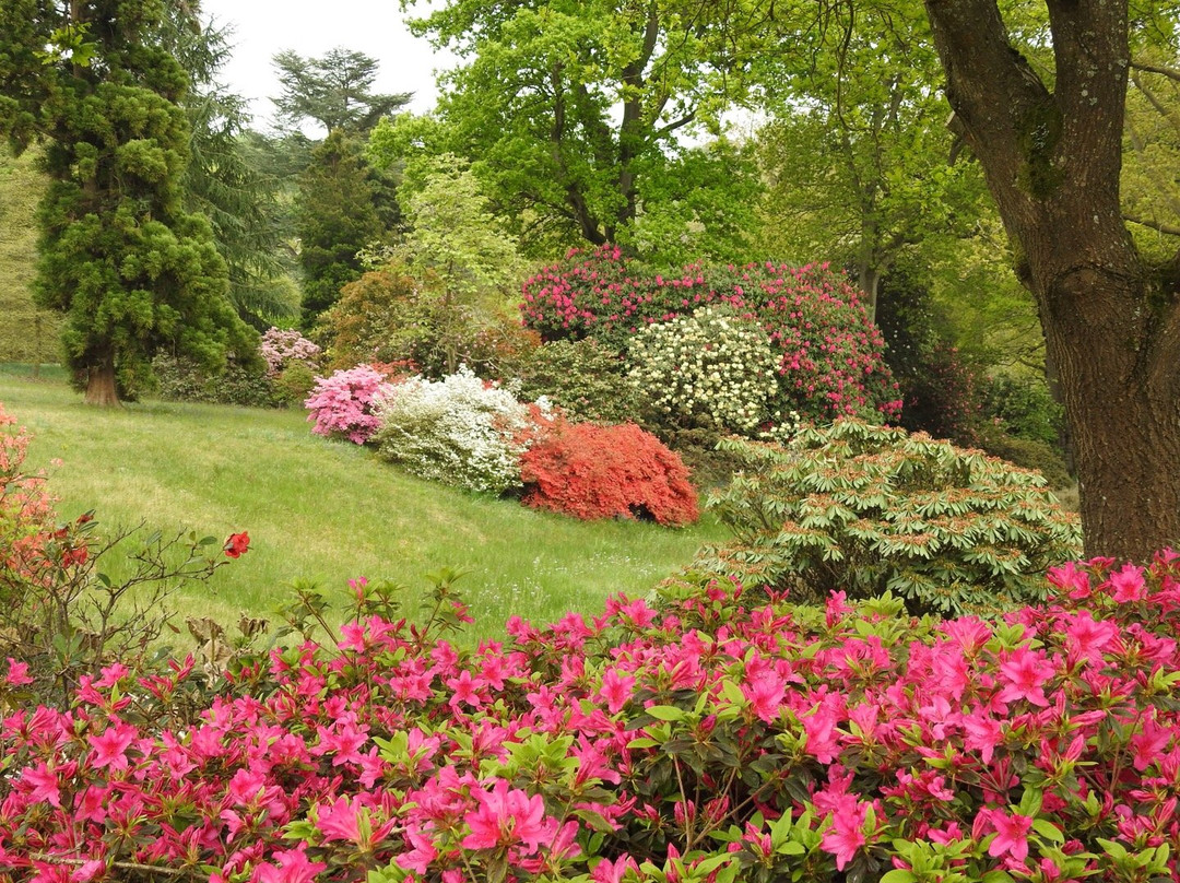 High Beeches Garden景点图片