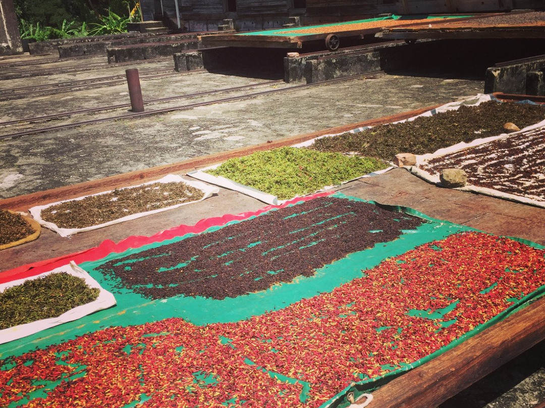 AJ Meddy Taxi & Tours Service-St. George's必去景点