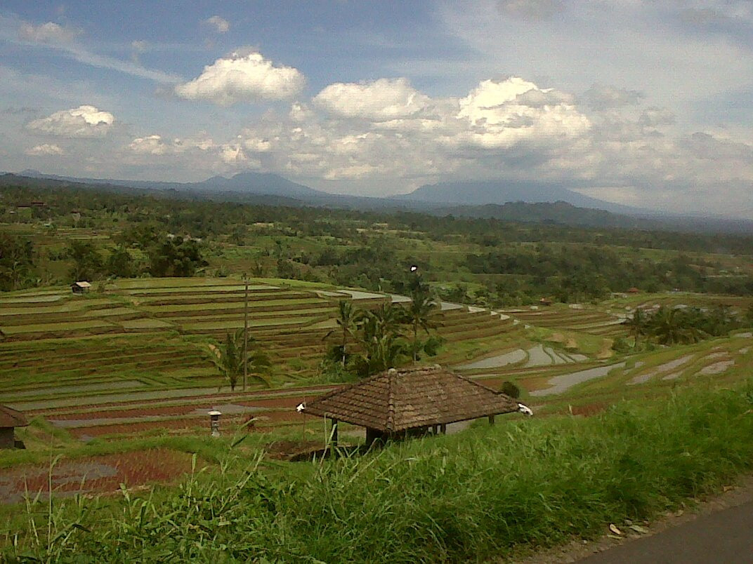 Bali Side Tour景点图片