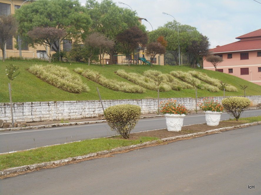 Vila Flores旅游攻略图片