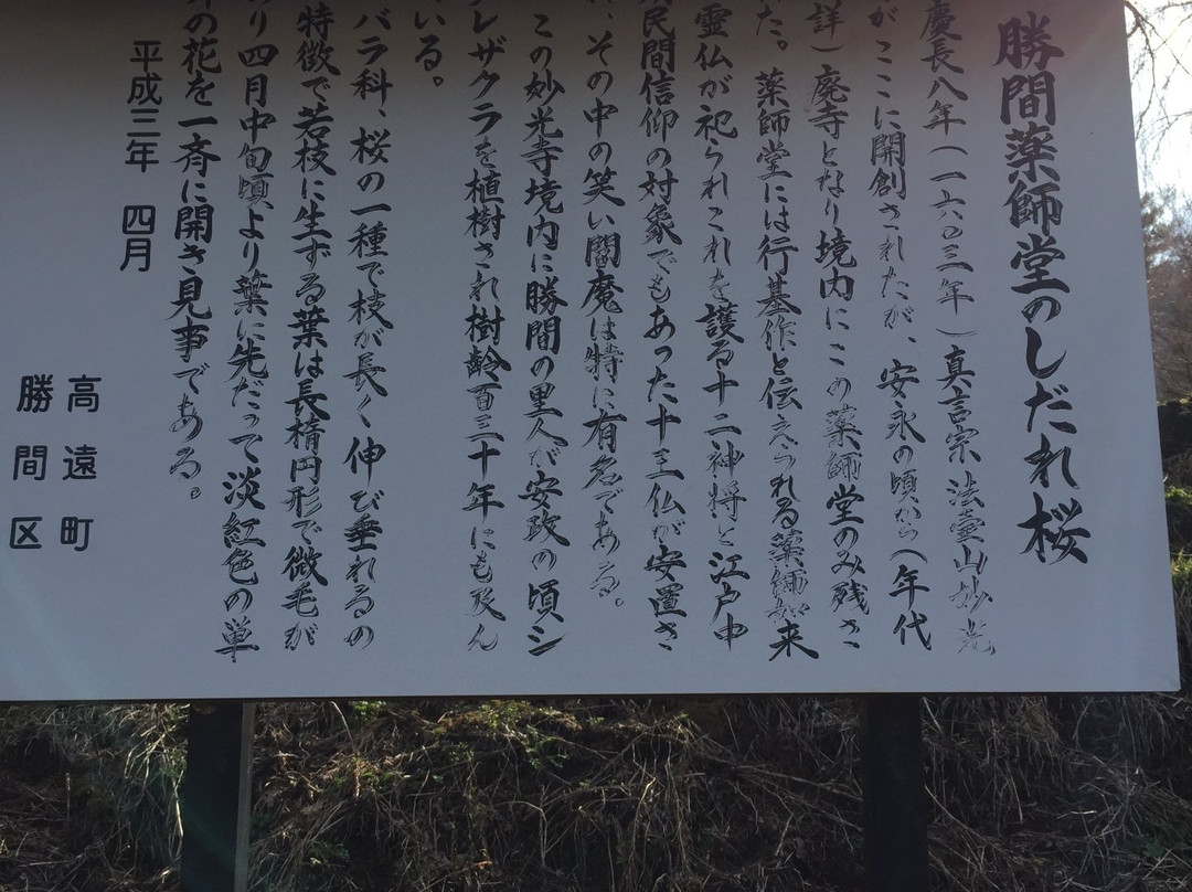 Katsuma Yakushido景点图片