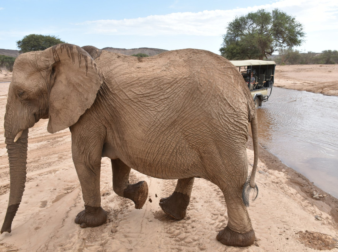 Hoanib River-Kaokoland必去景点