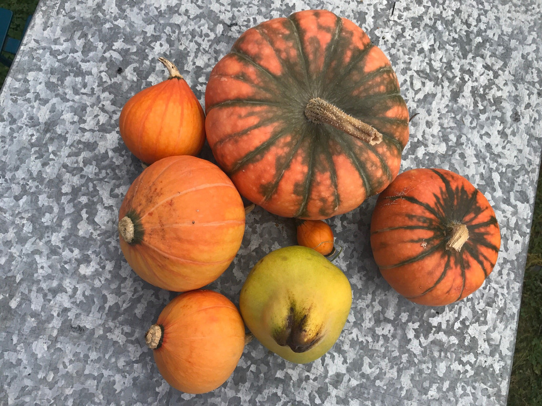 The Agrarian Kitchen Cooking Classes-Lachlan必去景点