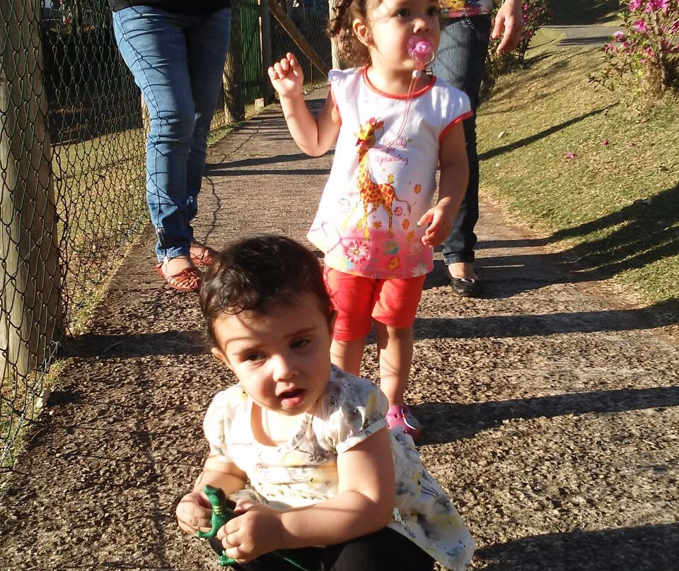 Parque Botanico Eloy Chaves-容迪亚伊必去景点