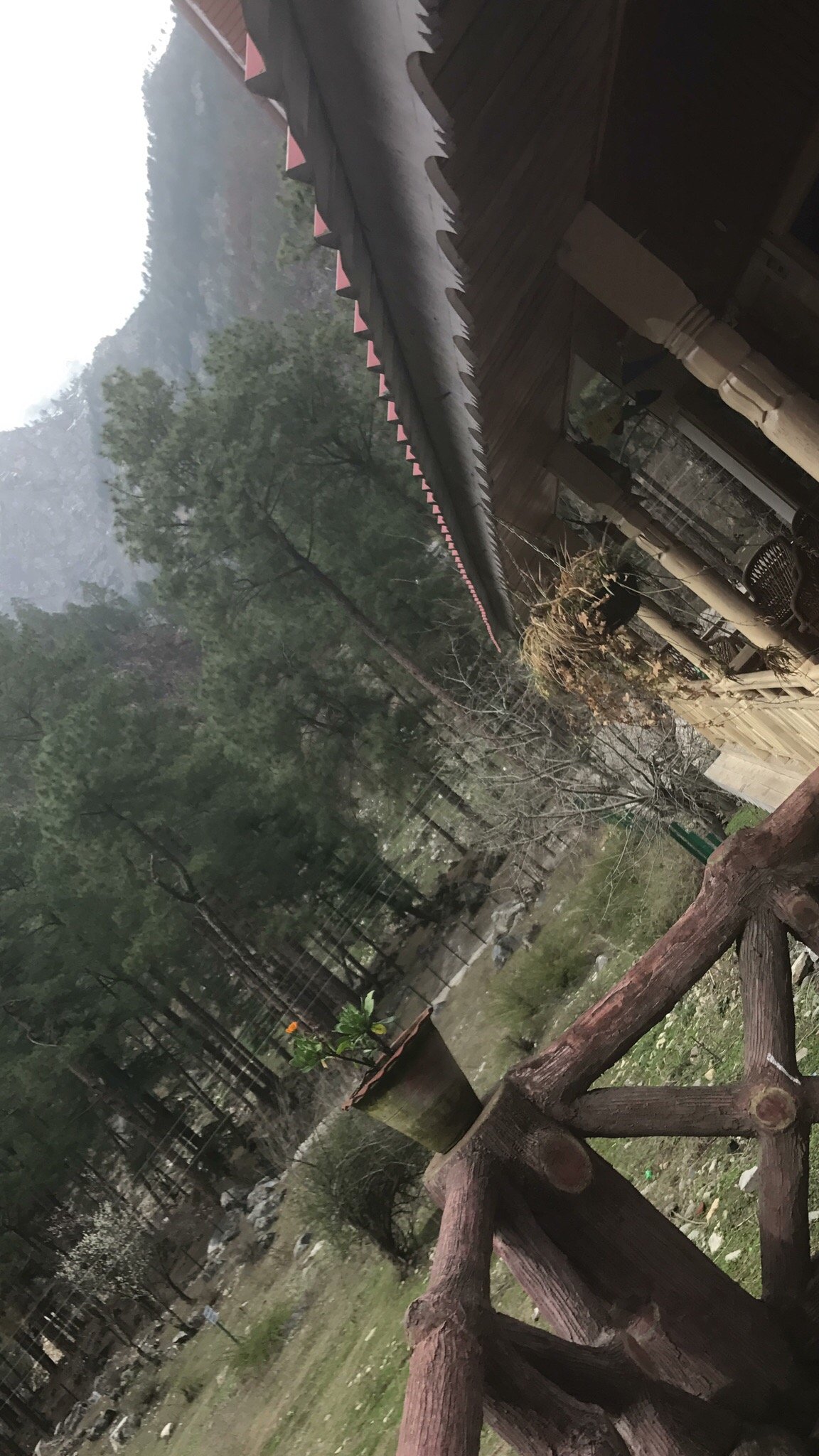 Parvati Woods Cottage-官方