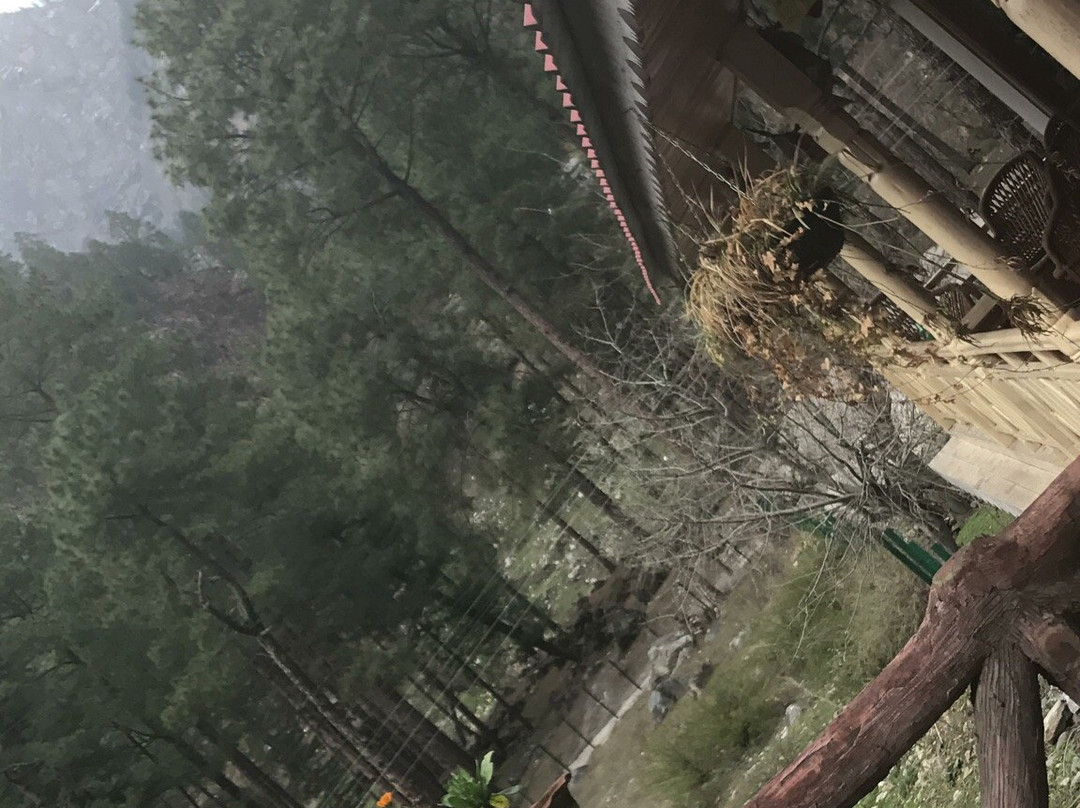 Parvati Woods Cottage主图