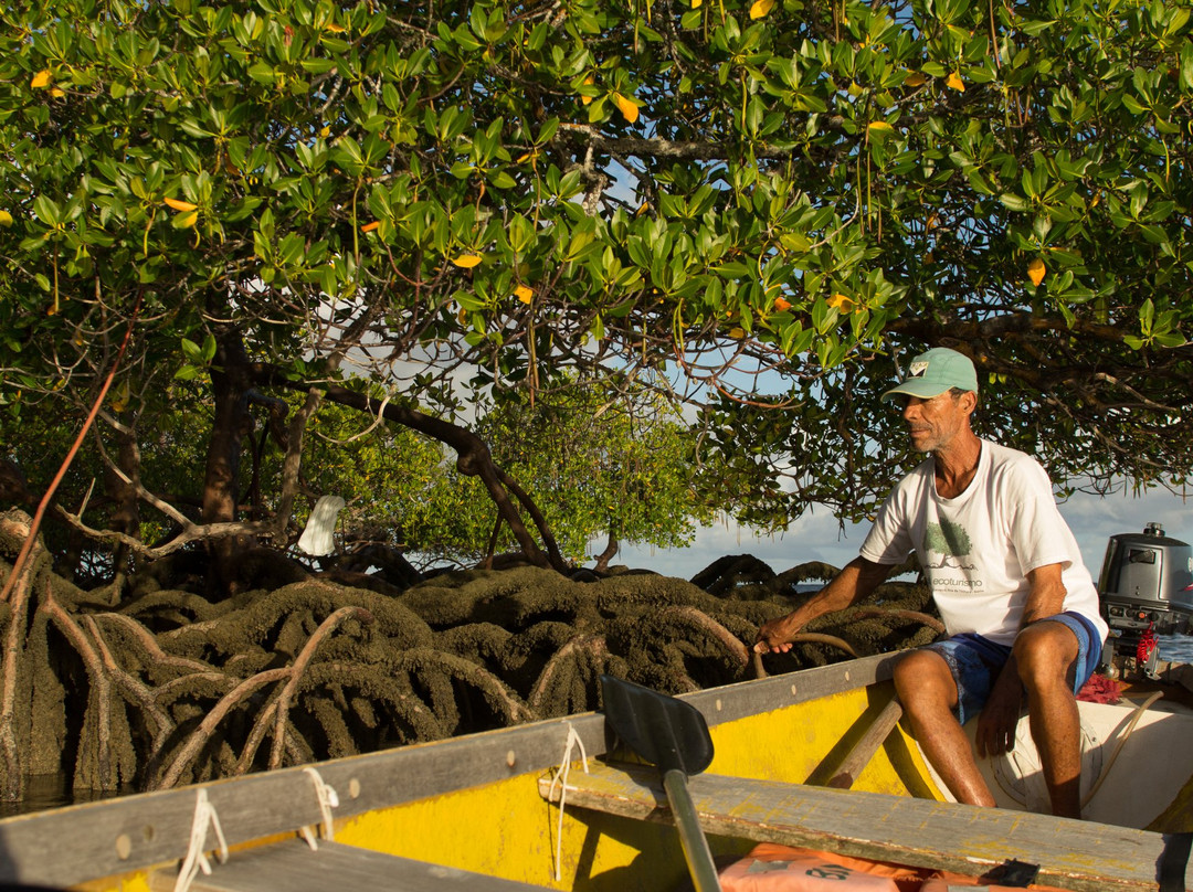 YBA ecoturismo-Garapua必去景点