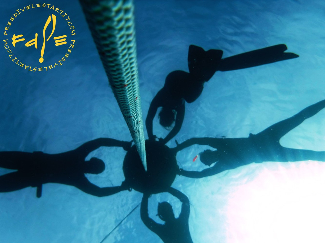 Freedive l'Estartit景点图片