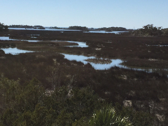 Withlacoochee Gulf Preserve-Yankeetown必去景点