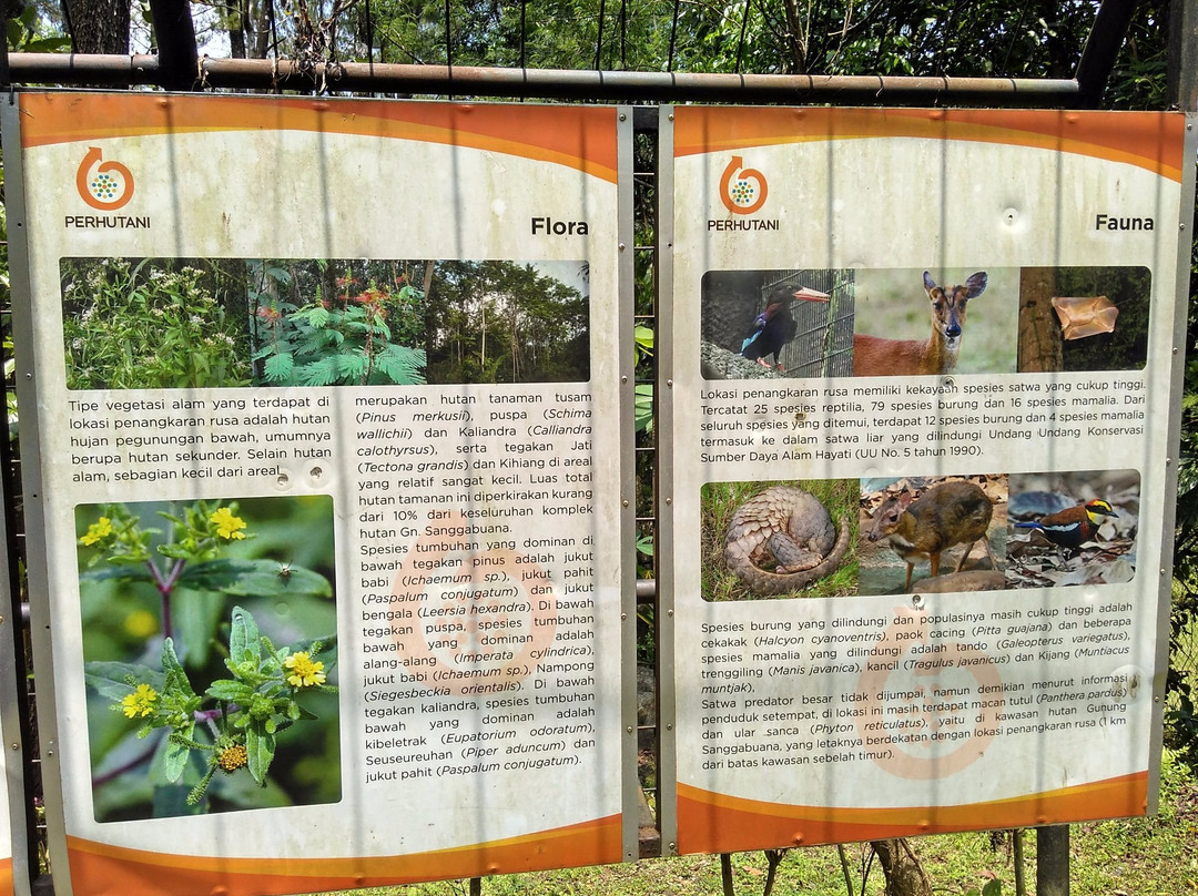 Penangkaran Rusa Cariu-茂物必去景点