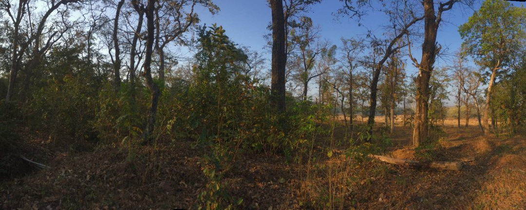 Topical Rainforest Ecological Camp景点图片