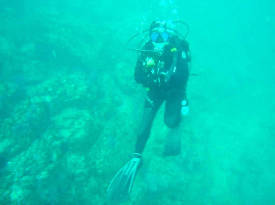 Baja Diving Adventures景点图片