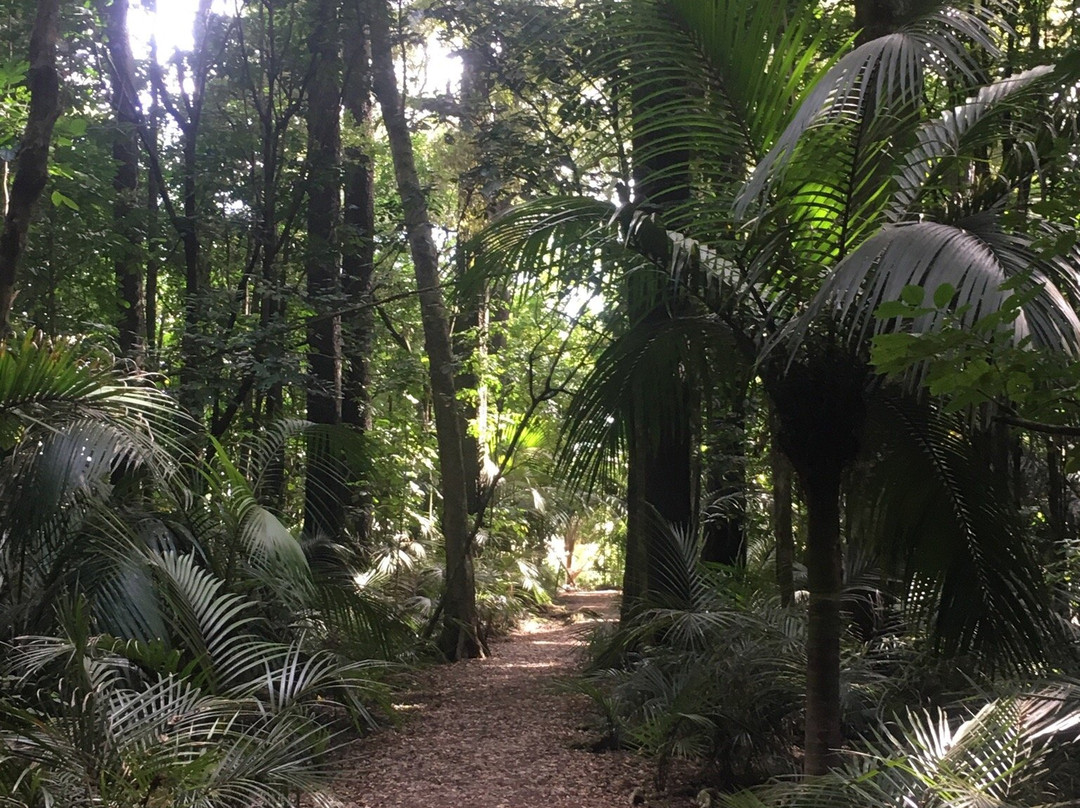Gray's Bush Scenic Reserve Walks景点图片