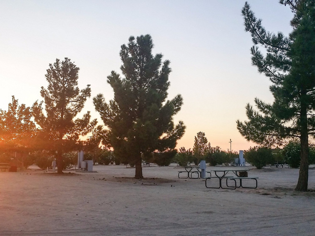 Joshua Tree Lake RV and Campground