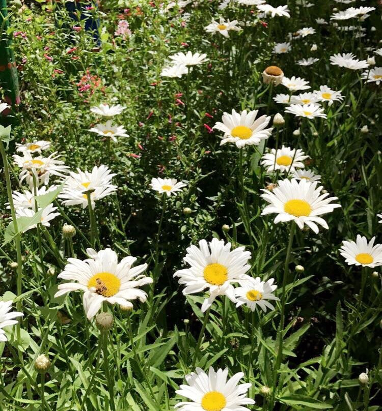 Margaret River Organic Garden-玛格丽特河必去景点