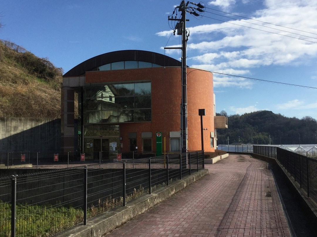 The Ancient Tomb and Persimmon Museum-本巢市必去景点