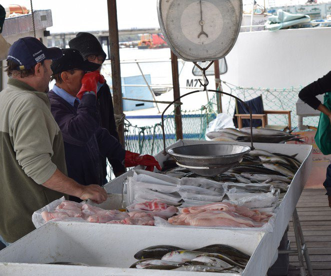 Torrens Island Market-Port Adelaide必去景点