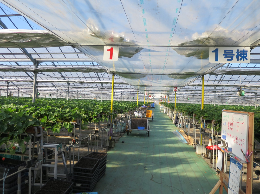 Japan Berry Center景点图片