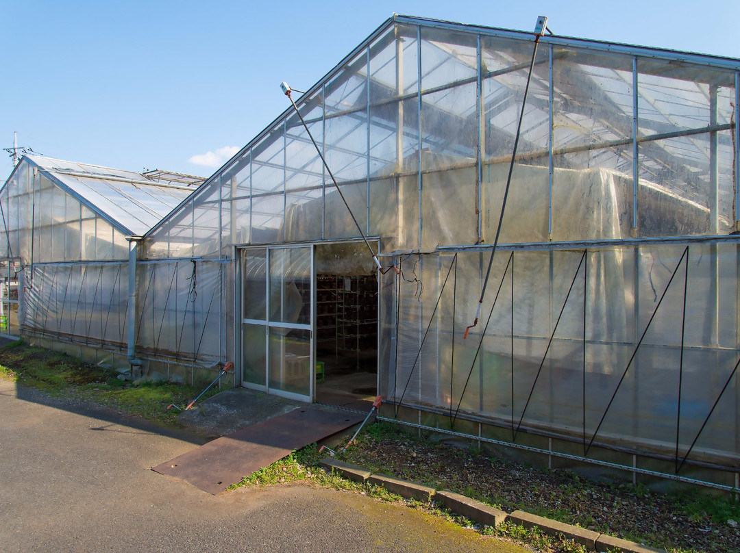 Sakurakinokoen-佐仓市必去景点