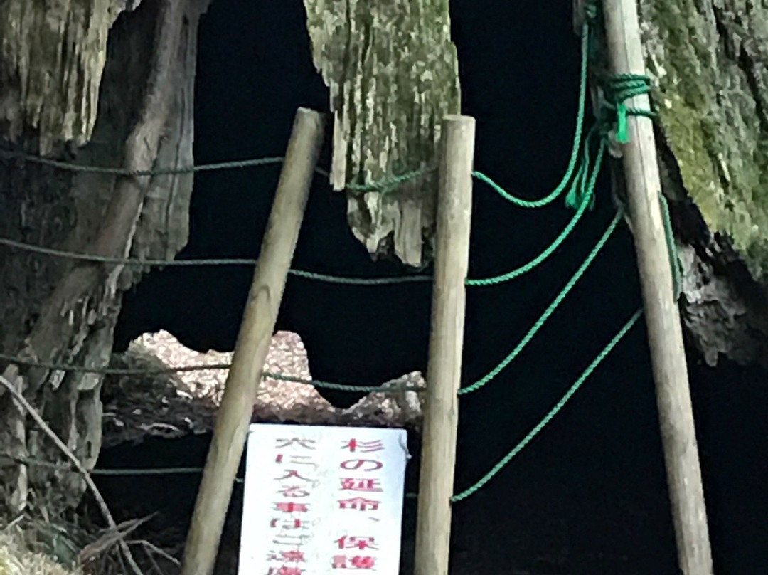Sasago Pass Yatate no Sugi景点图片