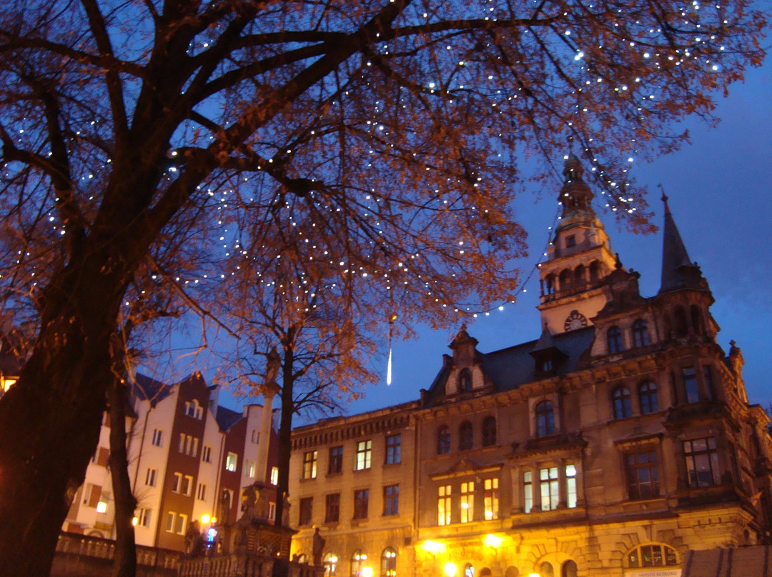 Ratusz - Old Town Hall景点图片