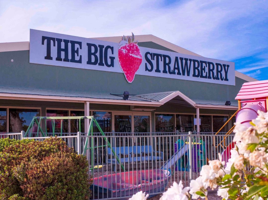 The Big Strawberry景点图片