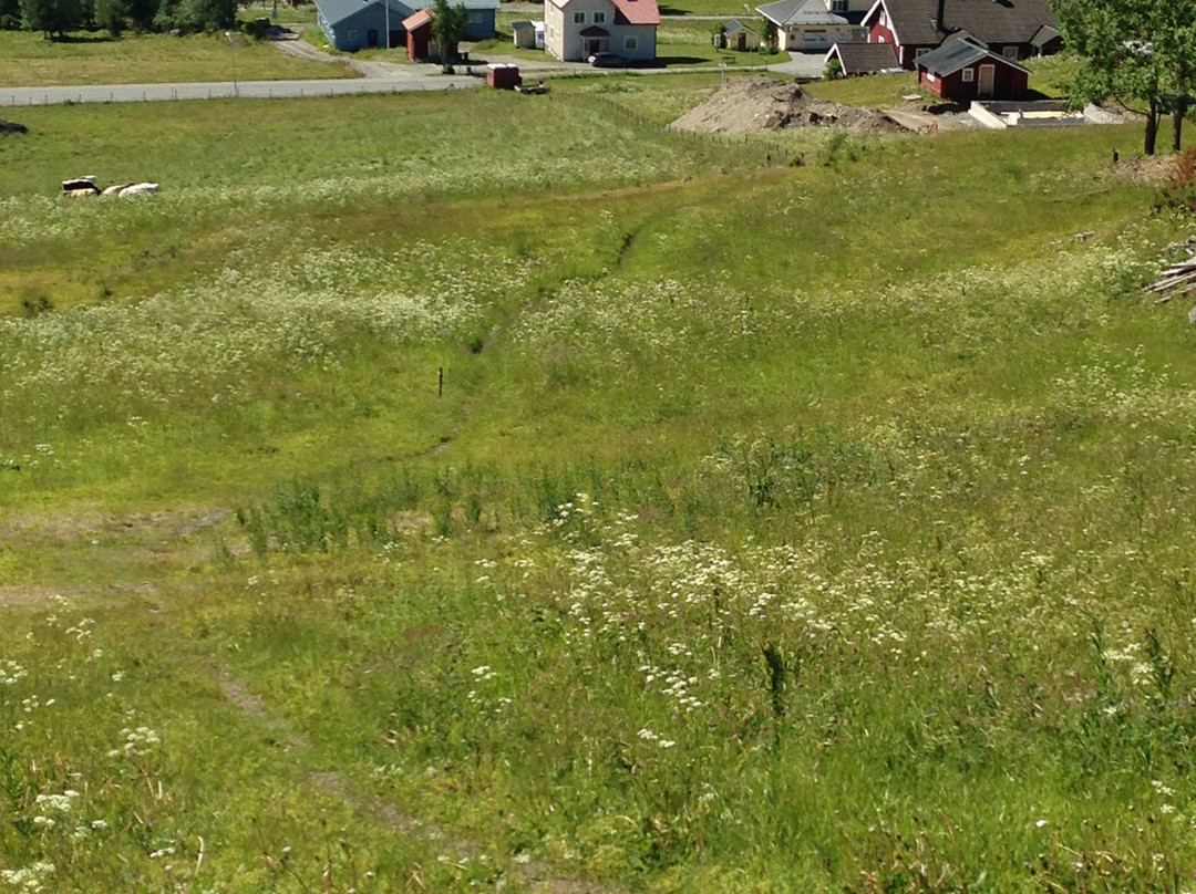 Ottsjo Fjallby & Wardshus
