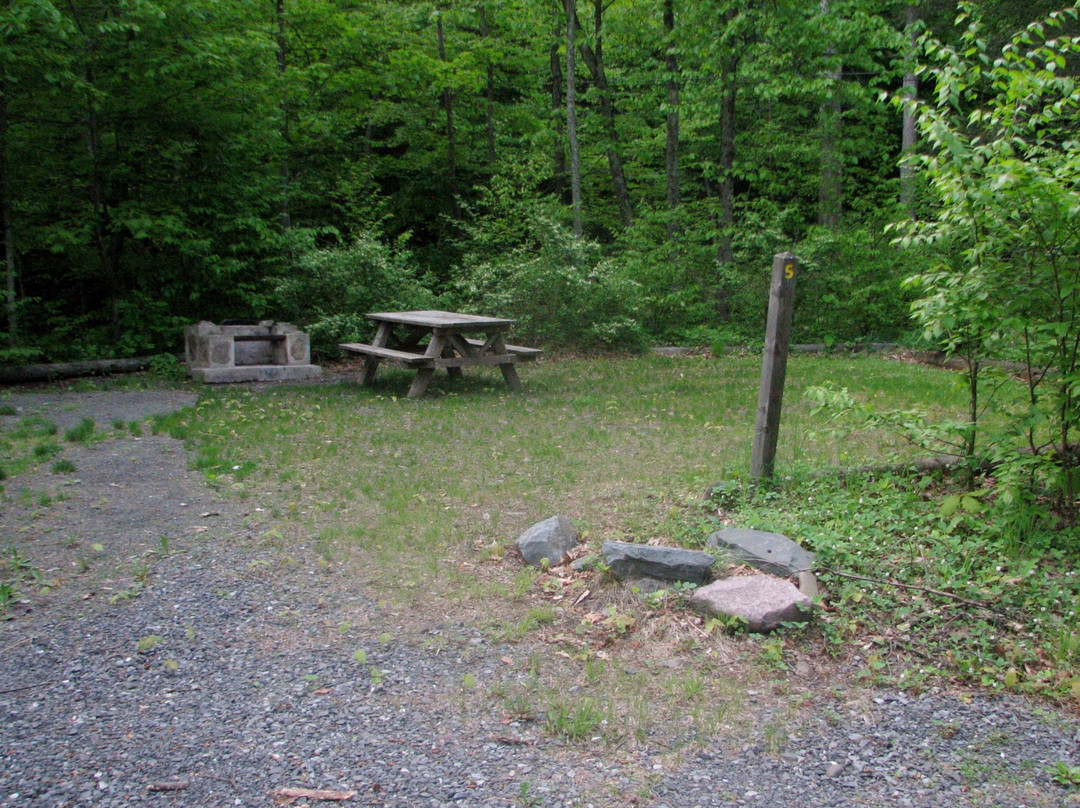 Woodland Valley State Park-Phoenicia必去景点