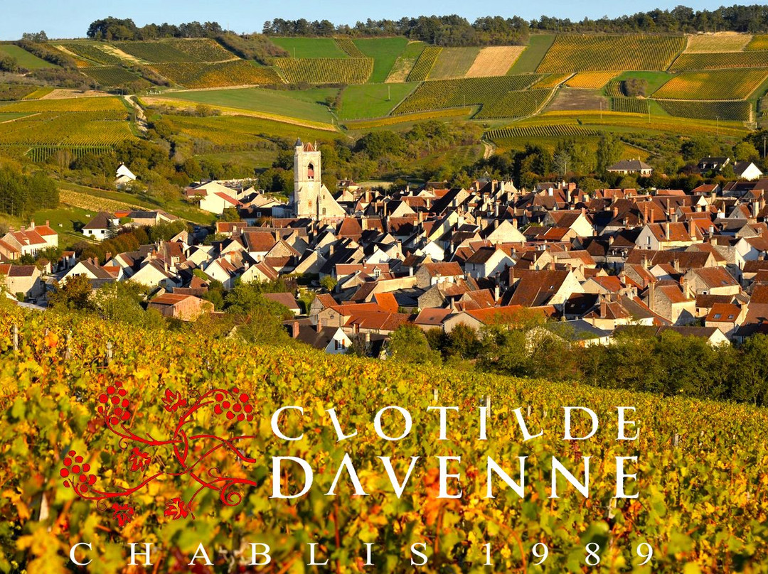 Domaine Clotilde Davenne景点图片
