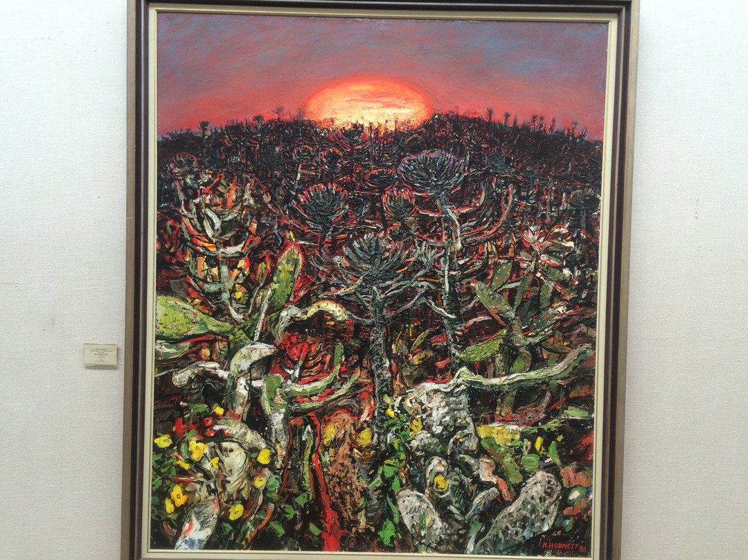 Nelson Mandela Metropolitan Art Museum景点图片