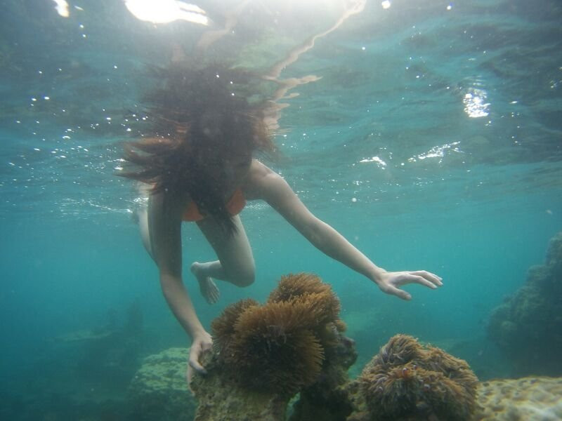 Go Green Tour-卡里蒙加瓦必去景点