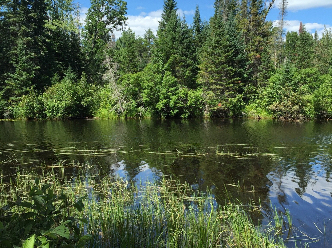 Bonnechere Provincial Park景点图片