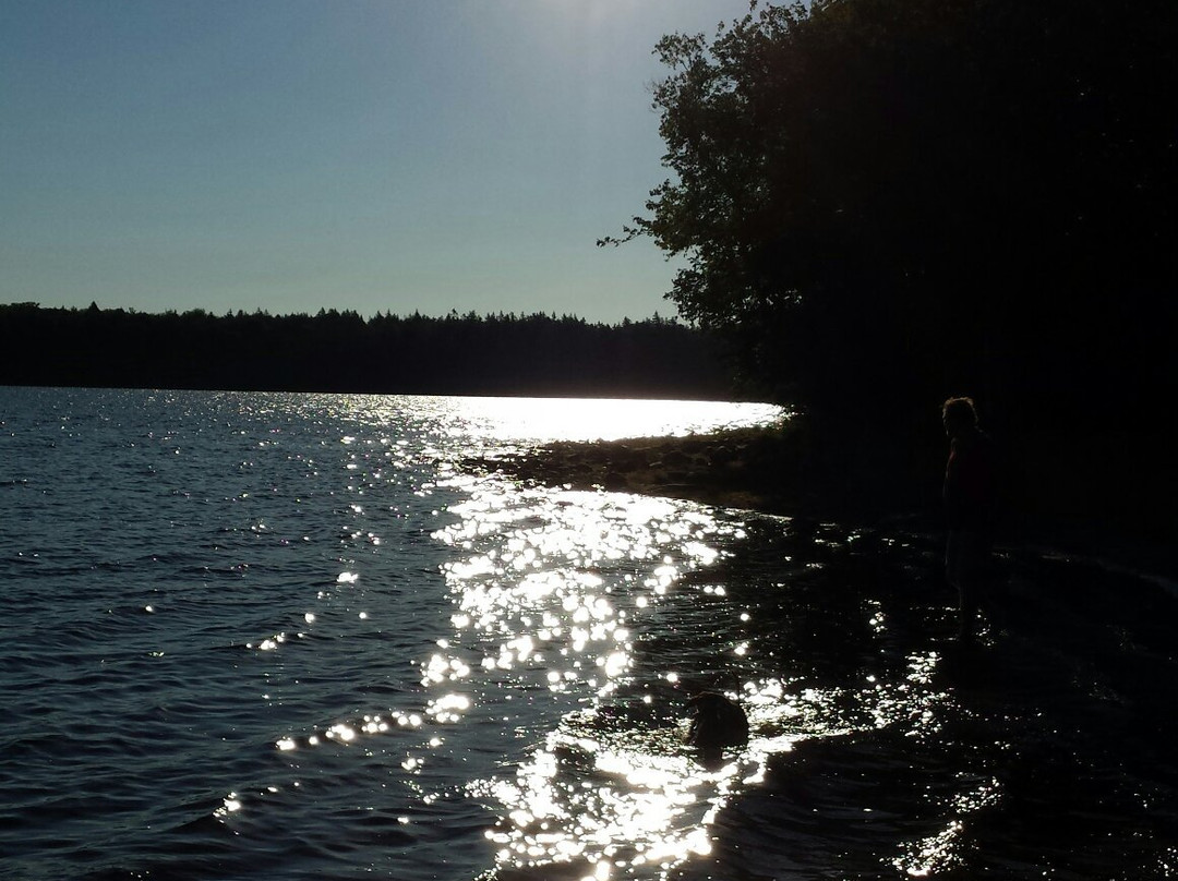 Ellenwood Lake Provincial Park景点图片