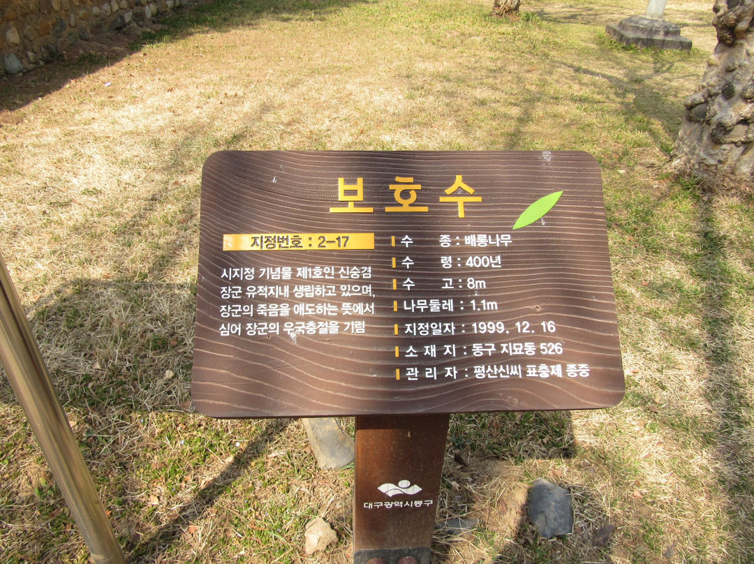 Shin Sunggyeom Shrine-大邱必去景点