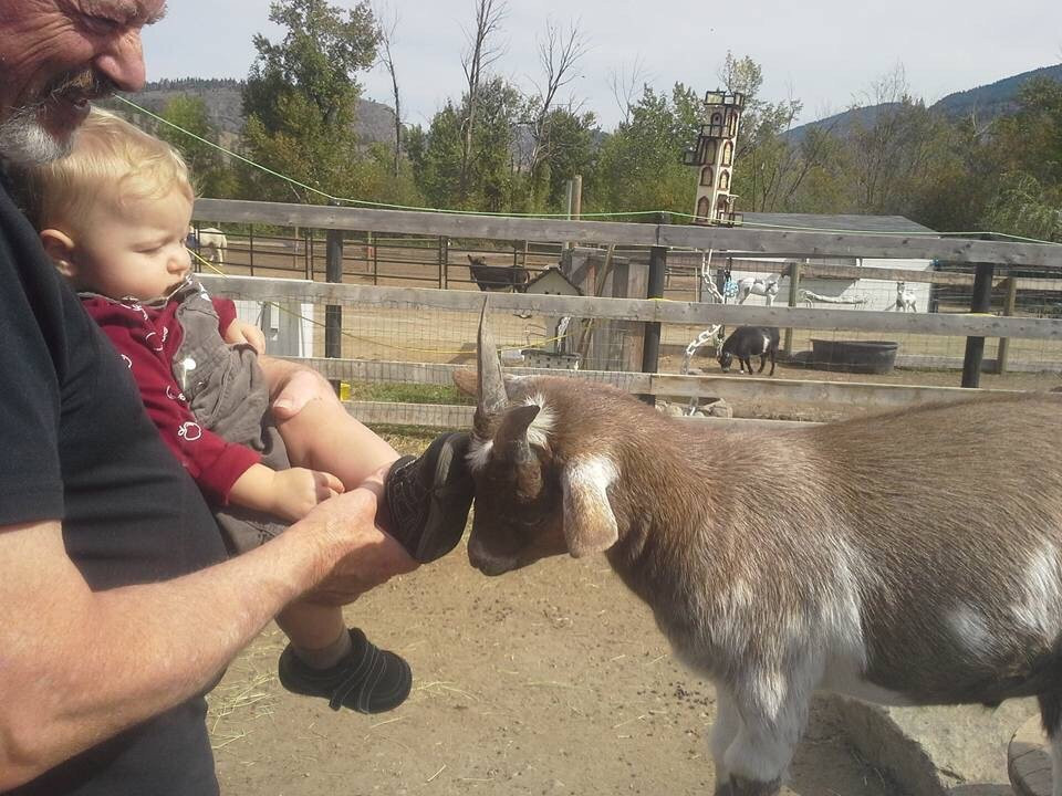 Swiller's Pond Petting Farm-Oliver必去景点