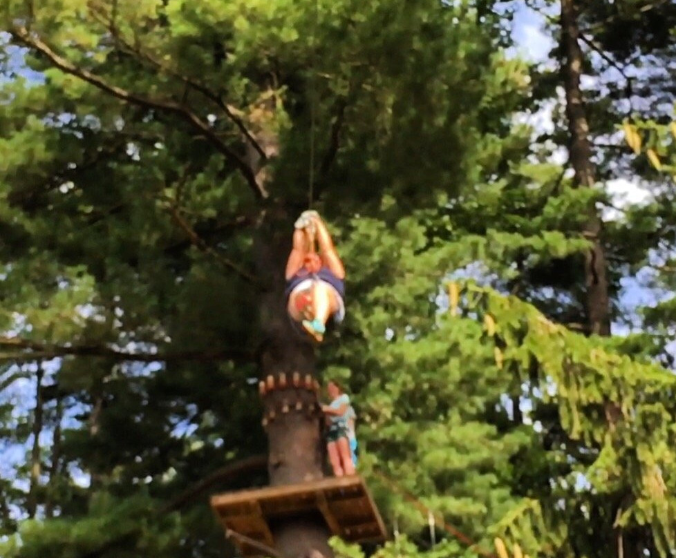 Treetop Adventures-Norristown必去景点